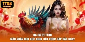 Đá Gà C1 TT88 - Mãn Nhãn Mọi Góc Nhìn, Kèo Cược Hấp Dẫn Ngay