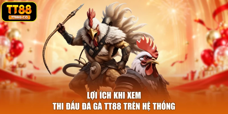 Lợi ích khi xem thi đấu đá gà TT88 trên hệ thống