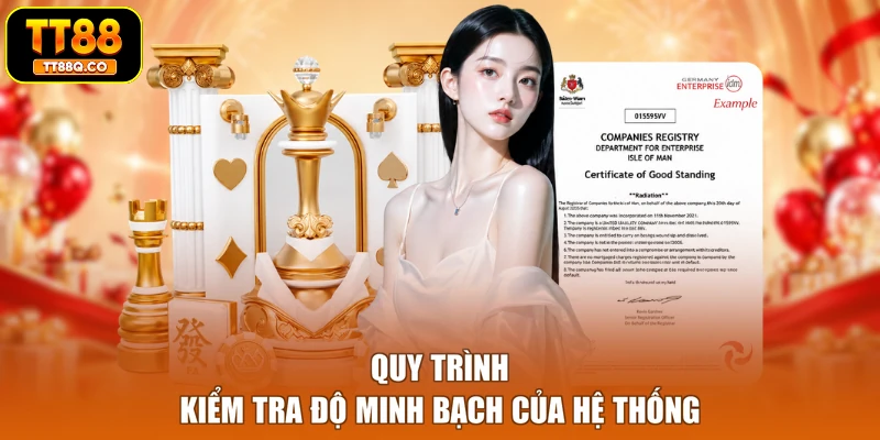Quy trình kiểm tra độ minh bạch của hệ thống
