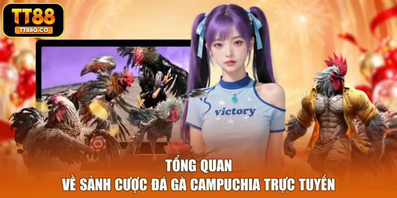 Tổng quan về sảnh cược đá gà Campuchia trực tuyến