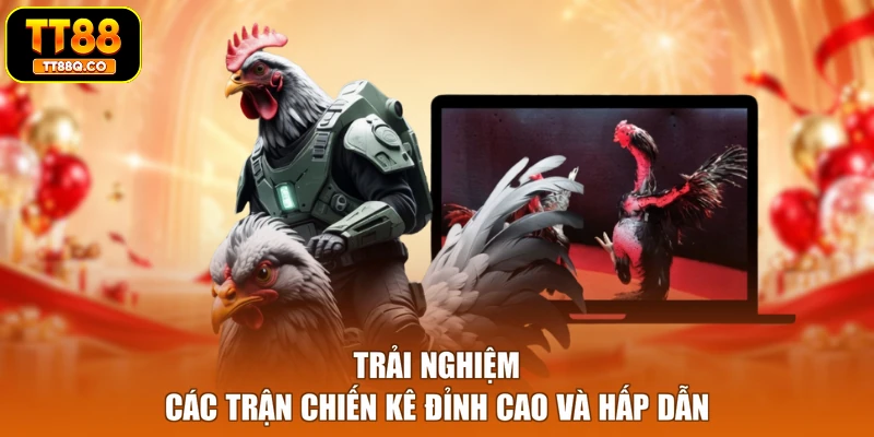 Trải nghiệm các trận chiến kê đỉnh cao và hấp dẫn
